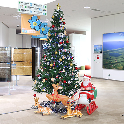 クリスマスツリーを展示しました