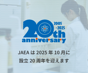 JAEA 20th