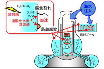 事故時に注入された海水成分と放射線の影響