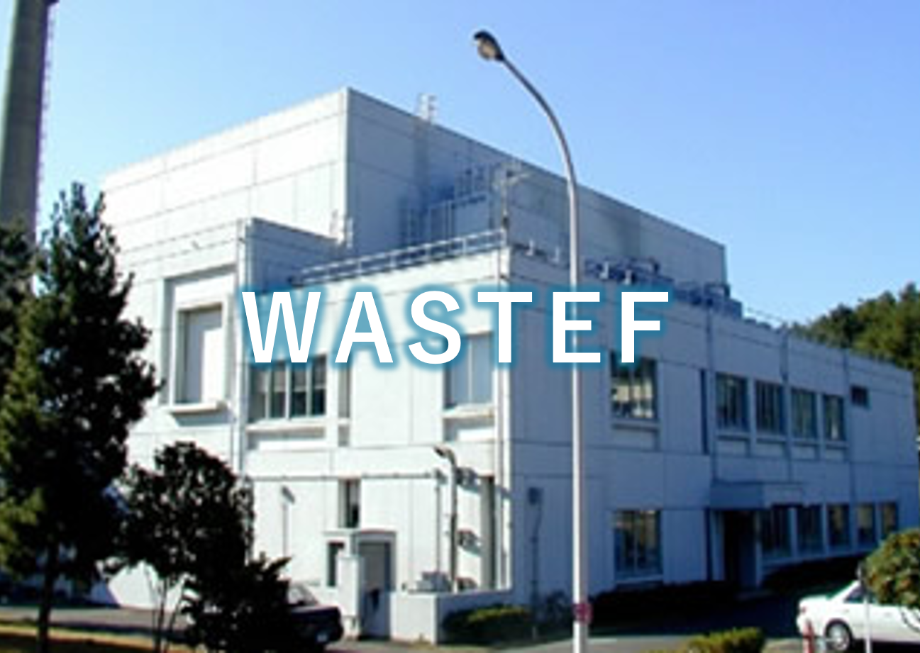 wastef