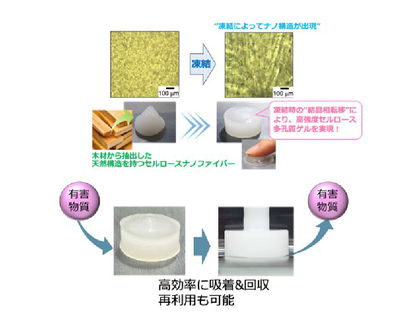 凍らせて、溶かすだけ、高機能性セルロースゲル材料の開発