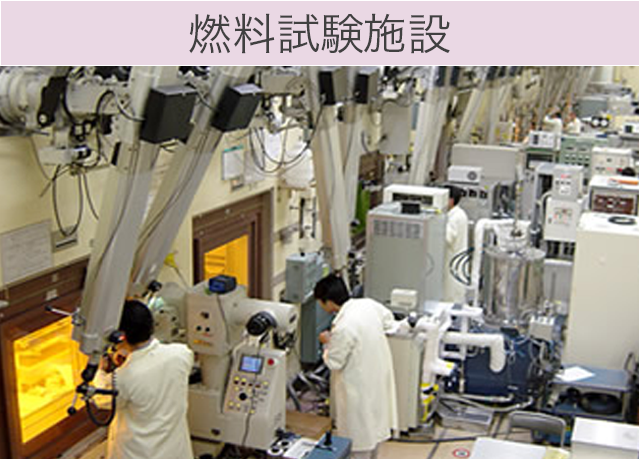 燃料試験施設