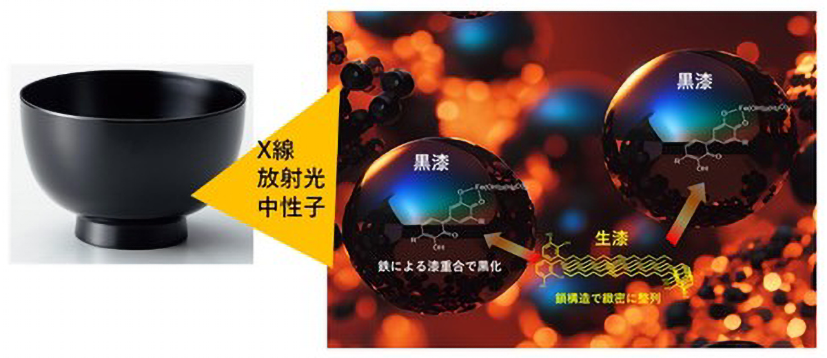 研究紹介(漆)