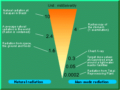 A Comparison of Radiation in Our Everyday Lives