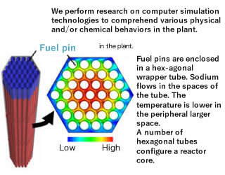 Sodium temperature distribution