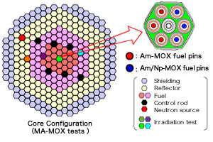 Volume and harmfulness reduction of radioactive waste