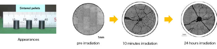 Appearances and ceramograph images of Am-MOX fuels