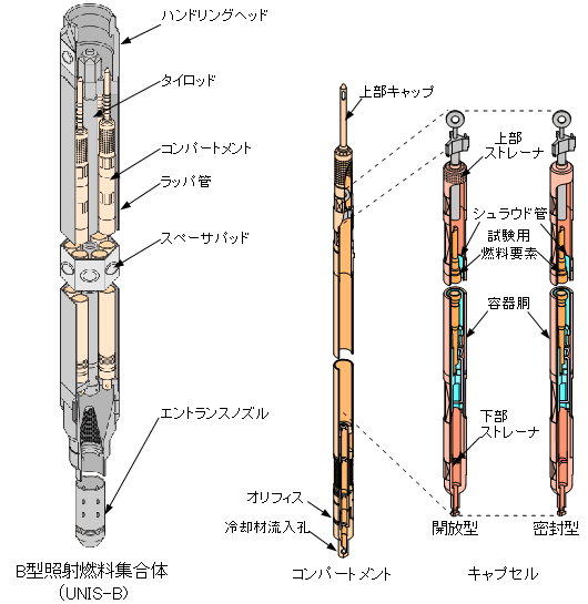 B^Ǝ˔RẂiUNIS-Bj