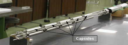 Cutaway View of MARICO