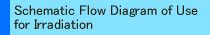 Schematic Flow Diagram of Use for Irradiation (An Example of Material Irradiation)