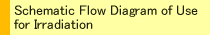 Schematic Flow Diagram of Use for Irradiation (An Example of Material Irradiation)