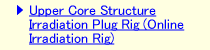 Upper Core Structure Irradiation Plug Rig (Online Irradiation Rig)