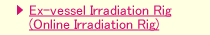 Ex-vessel Irradiation Rig (Online Irradiation Rig)