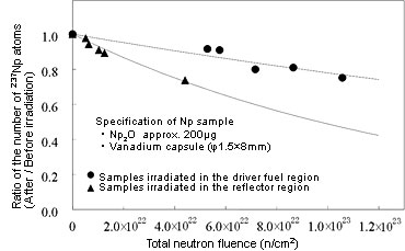 Transmutation Characteristics of Np, a Transuranium Element