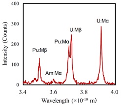 Example of Elemental Analysis Result