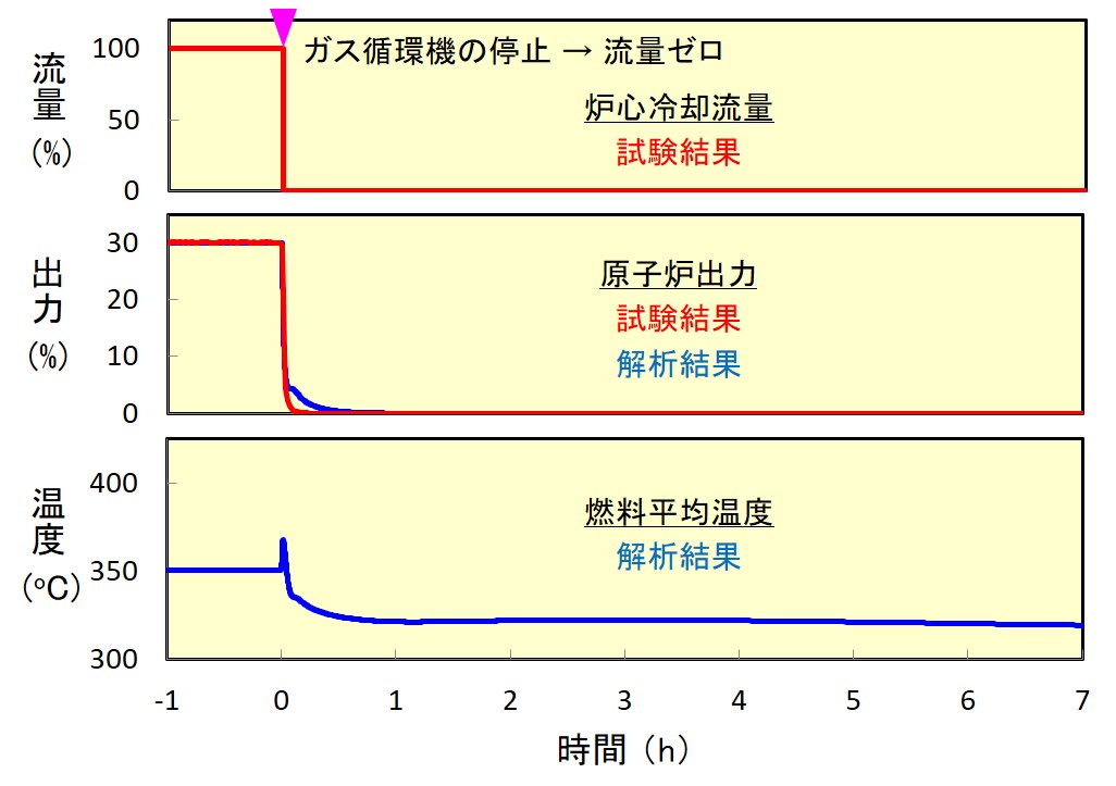 安全性実証試験のグラフ