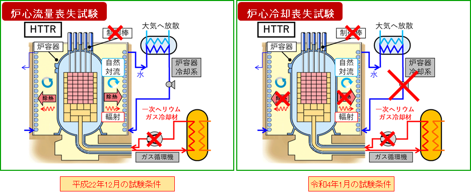 安全性実証試験条件の比較