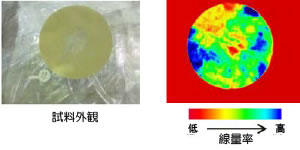 コンクリートボーリングコア試料の線量率測定結果