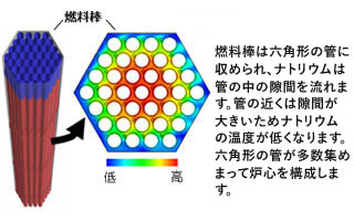 ナトリウムの温度分布