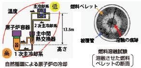 高速炉の安全性の実証