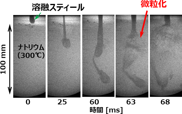 ナトリウム中に落下した溶融スティール鋼の微粒化・急冷挙動（エックス線を用いてナトリウム中の挙動を可視化）