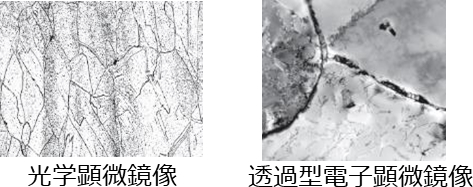 クリープ破断試験片の組織観察