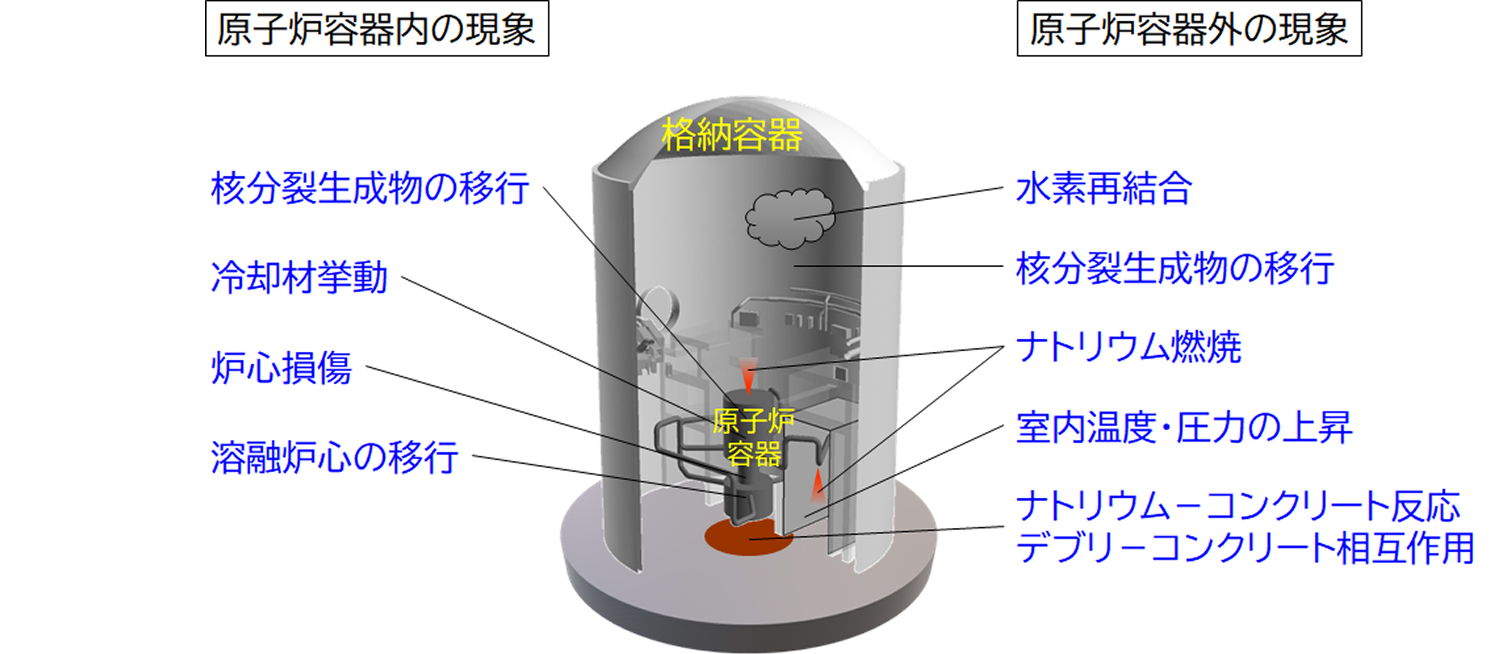 炉心損傷事故を想定した原子炉容器内外の現象の図解。容器内では核分裂生成物の移行や炉心損傷など、容器外では水素再結合、ナトリウム燃焼、室内温度・圧力の上昇、ナトリウム・コンクリート反応などの具体的な事象が示されています。
