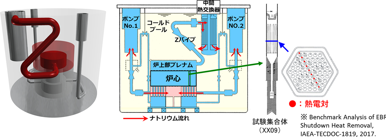 EBR-IIの3次元モデルと2次元の系統構成図、および試験集合体の詳細図。系統構成図ではポンプや中間熱交換器を通るナトリウムの流れが赤矢印で示され、右側には熱電対の配置を示す試験集合体(XX09)の断面図が描かれています。