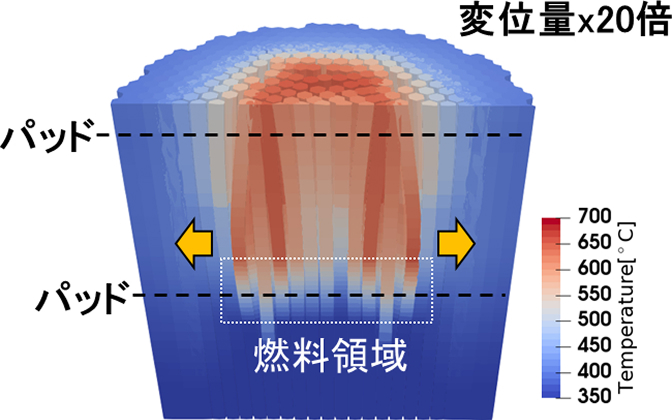 「100秒時における燃料集合体の熱湾曲解析結果。集合体間の温度差によって、炉心中央から外側に向かって各集合体が扇状にわずかに湾曲する様子が、変位量を20倍に強調して視覚化されています。」