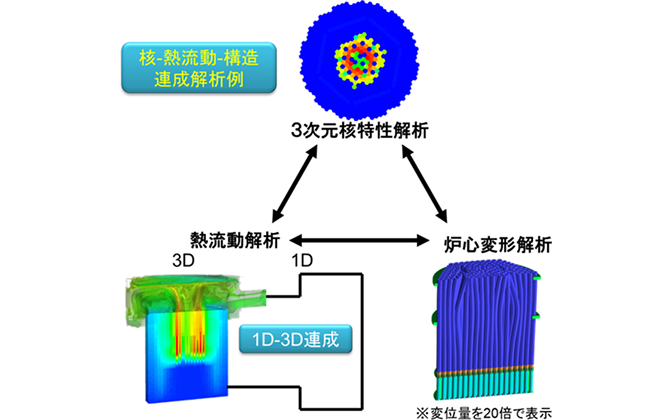「核・熱流動・構造の3次元連成解析のフロー。3次元核特性解析、1D-3D連成を含む熱流動解析、そして変位量を20倍で表示した炉心変形解析の3つの解析結果が、相互に双方向の矢印で結ばれ、物理現象が連携して評価されている仕組みを示しています。」