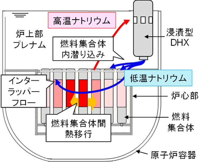 「浸漬型DHX稼働時の原子炉容器内熱流動の模式図。炉上部プレナムから低温ナトリウム（青矢印）が燃料集合体上部へ潜り込み、一部は集合体間の隙間（インターラッパーフロー）や集合体間の熱移行を介して、炉心部へ熱を伝えながら循環するメカニズムが描かれています。」
