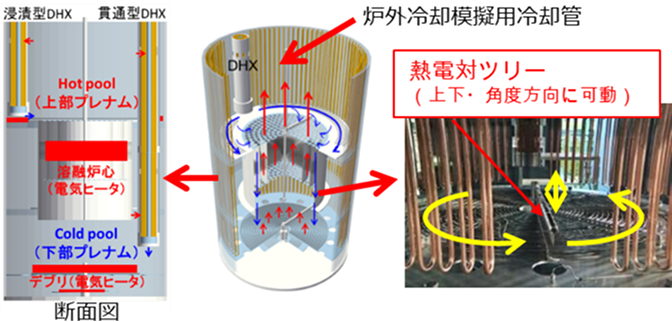 「PHEASANT水流動試験装置の、 UISやコアキャッチャを模した透明なアクリル製容器の内部写真。」