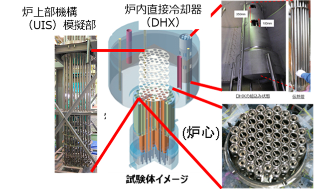 PLANDTL-2の試験体イメージ図と各部の実物写真。炉上部機構(UIS)模擬部、炉内直接冷却器(DHX)、および炉心を模擬した集合体の3Dモデルと、それぞれの実際の試験装置の様子が示されています。