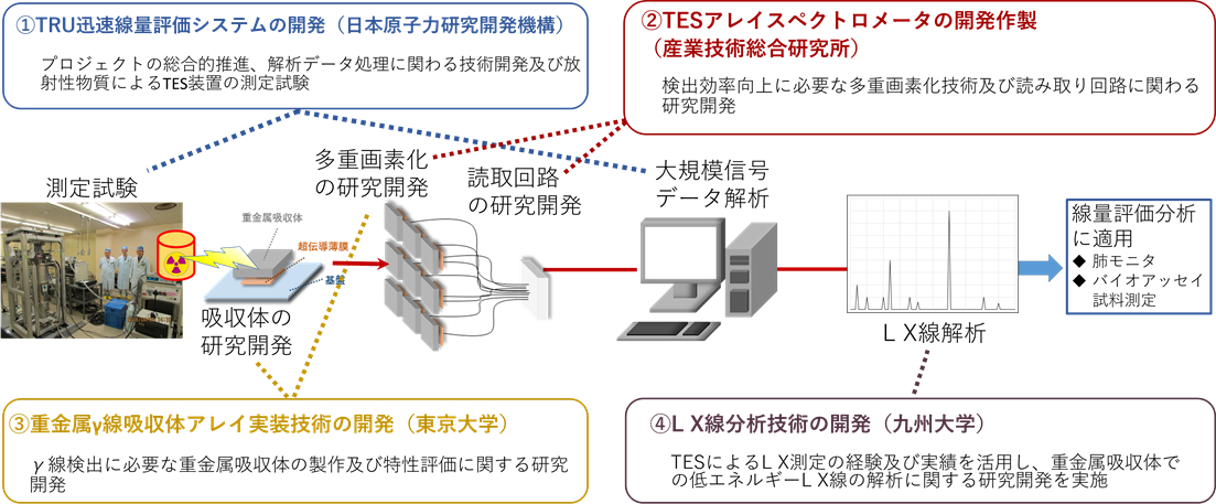 研究実施体制