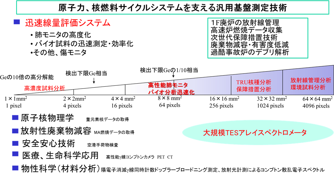 実用化に向けた取り組みと将来展望