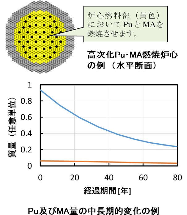 Pu及びMA量の中長期的変化の例