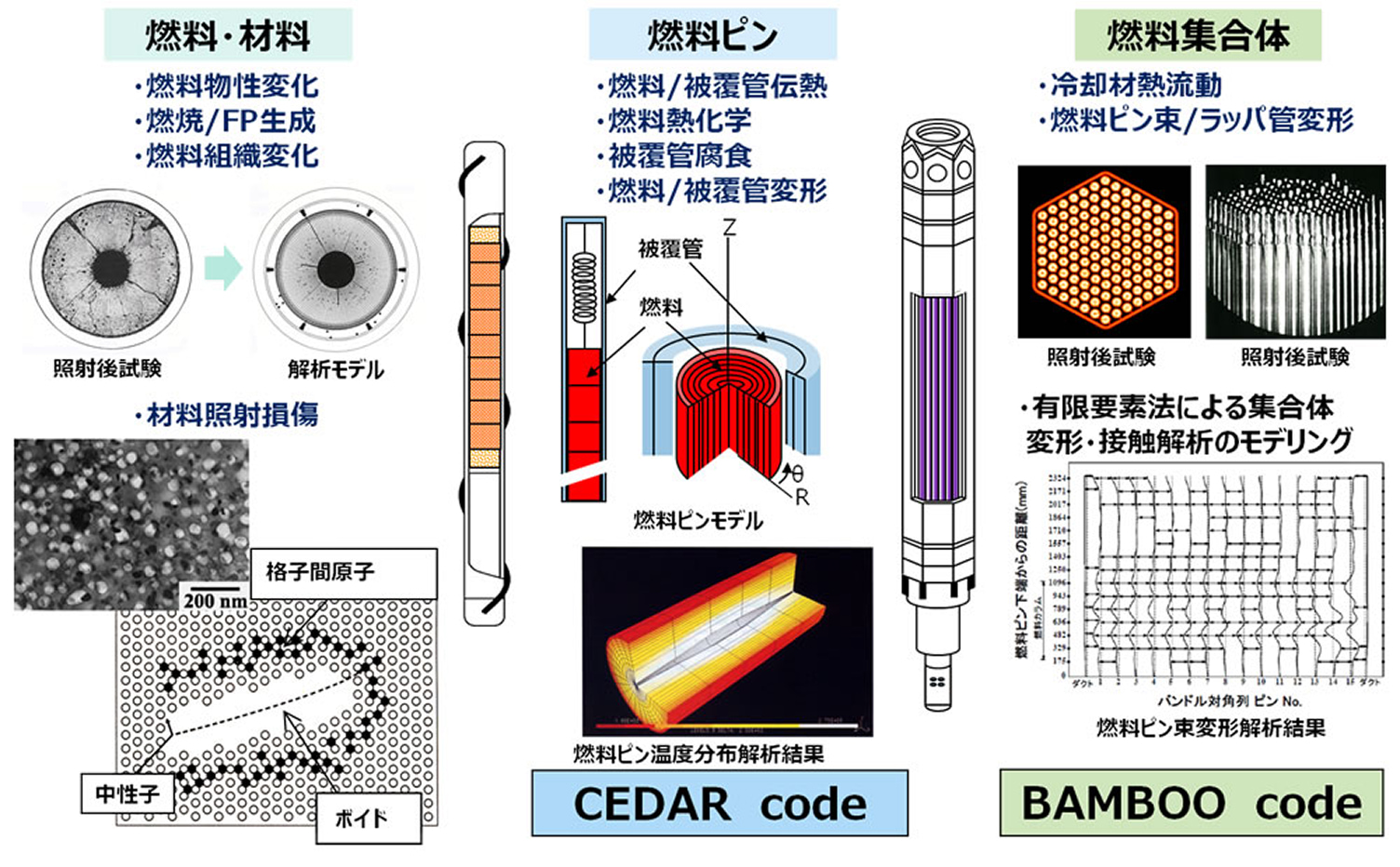 燃料挙動解析コードの開発体系図。ミクロな「燃料・材料」の組織変化や照射損傷モデルをベースに、単一の「燃料ピン」の温度分布や変形を解析する『CEDAR code』、さらにマクロな「燃料集合体」全体の熱流動やピン束の変形を有限要素法で解析する『BAMBOO code』へと、異なるスケールを評価する解析コード群の開発状況が示されています。