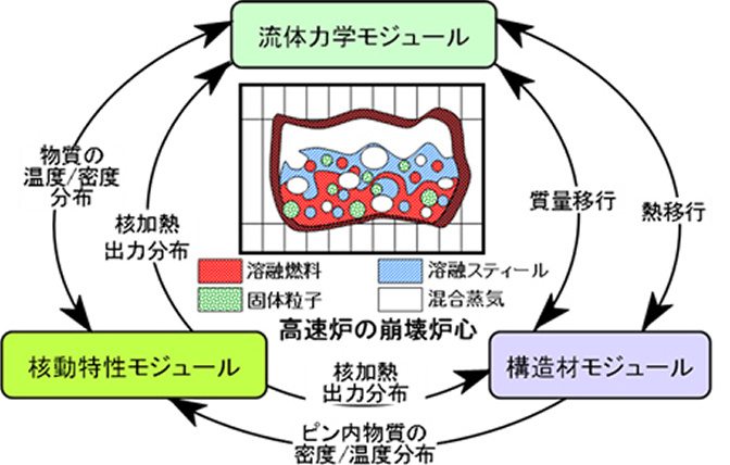 「SIMMERコードの計算アルゴリズム構造図。中央に『高速炉の崩壊炉心(溶融燃料、溶融スティール、固体粒子、混合蒸気の混相状態)』を配し、流体力学、核動特性、構造材の3つのモジュールが、熱・質量移行や核加熱出力分布などの情報を相互にフィードバックし合いながら解析を進めるループ構造が示されています。」