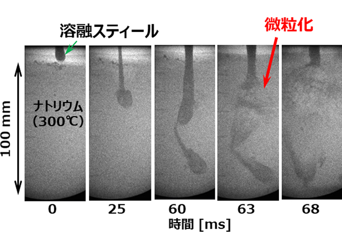 「300℃のナトリウム中に落下した溶融スティールのエックス線映像（連続写真）。0ミリ秒（ms）の落下開始から、25ms、60ms、63ms、68msと時間が経過するにつれ、溶融スティールが冷却材中で激しく微粒化し、拡散・急冷されていくプロセスが可視化されています。」