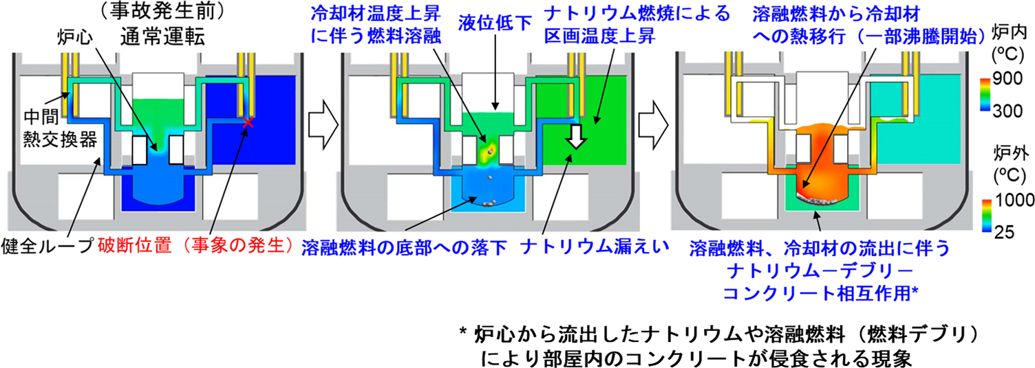 原子炉液位低下事象の進展プロセスの図解。左から順に、(1)事故発生前の通常運転、(2)配管破断による冷却材漏えいと液位低下に伴う燃料溶融、および溶融燃料の底部への落下、(3)溶融燃料から冷却材への熱移行による沸騰開始と、流出した燃料デブリとコンクリートの相互作用、という3段階の挙動が、炉内・炉外の温度分布の変化と共に示されています。