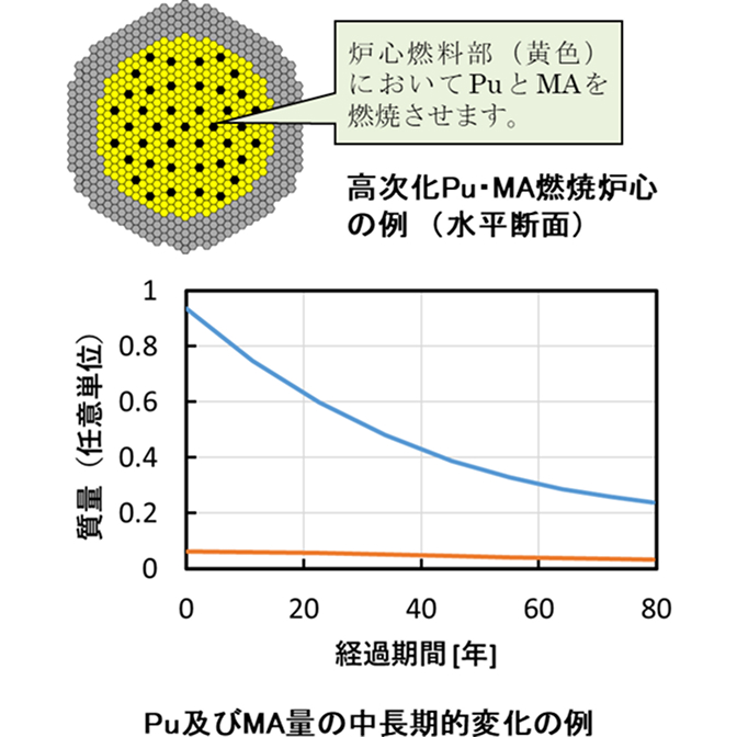 高次化Pu・MA燃焼炉心の水平断面図と、質量の長期的変化グラフ。断面図では、黄色で示された炉心燃料部においてプルトニウム(Pu)とマイナーアクチノイド(MA)を燃焼させる構成が示されています。下のグラフでは、0年から80年までの経過期間において、PuおよびMAの質量が右肩下がりに減少し、放射性廃棄物の減容・有害度低減に寄与する推移が示されています。