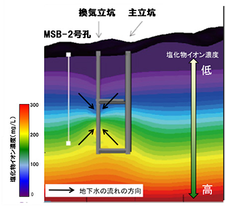 立坑掘削による化学環境の変化に関わる影響予測