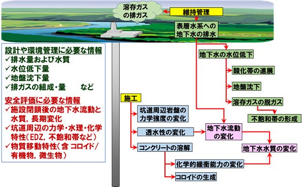 施設の維持・管理では次のような地球化学環境への影響が考えられる。1.溶存ガスの排ガスが出る,2.表層水系への地下水の排水により,地下水位の低下,酸化帯の進展,地盤沈下が起こる。溶存ガスの脱ガスにより不飽和帯が形成される。3.施工時には坑道周辺岩盤の力学強度や透水性が変化し,コンクリートの溶解による科学的干渉能力が変化しコロイドが生成される。4.維持管理時の表層水系への地下水の排水と施工時への透水性の変化により地下水流動が変化し,地下水水質も変化する。そのため,設計や環境管理においては排水量および水質,水位低下量,地盤沈下量,排ガスの組成・量といった情報が必要となる。また,安全評価においては施設閉鎖後の地下水流動と水質の長期変化,坑道周辺の力学・水理・科学特性(EDZ,不飽和帯など),物質移動特性(含コロイド/有機物,微生物)の情報が必要となる。