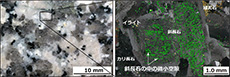 ボーリングコアから採取した花崗岩試料と斜長石の中の微小空隙の分布の例の画像