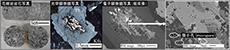 土岐花崗岩体の岩石写真，斜長石中の変質を示す光学顕微鏡写真，電子顕微鏡写真
