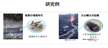 写真　堆積物中の植物片ｔ火砕流堆積物中の炭化木