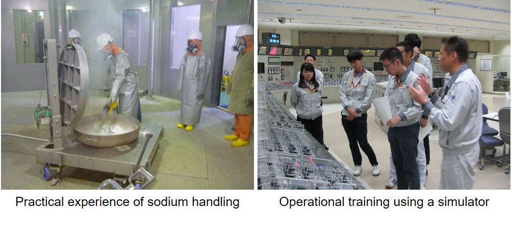 Practical experience of sodium handling,Operational training using a simulator,Training for students