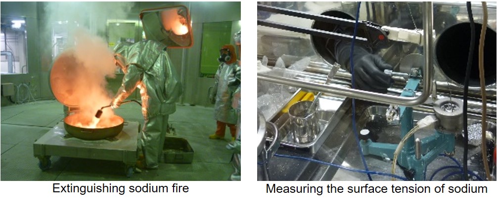 Training course to learn the properties and handling technology of sodium image-1