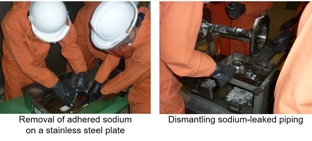 Training course to learn the properties and handling technology of sodium image-2