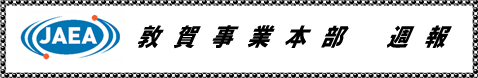 敦賀事業本部週報